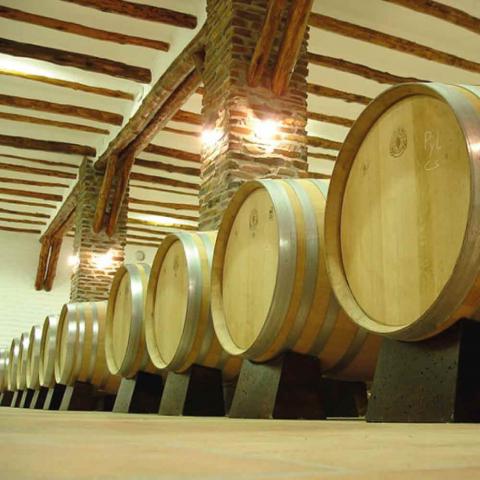 Sabor Alpujarreño | Vinos | Bodegas Altiplano Granada | Méndez Moya (Dólar) | Vino Natural | Delicias a Granel
