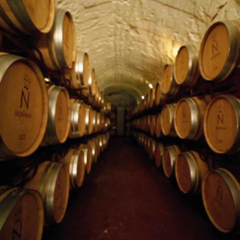 Sabor Alpujarreño | Vinos | Bodegas Altiplano Granada | Muñana (Cortes y Graena) | Delicias a Granel