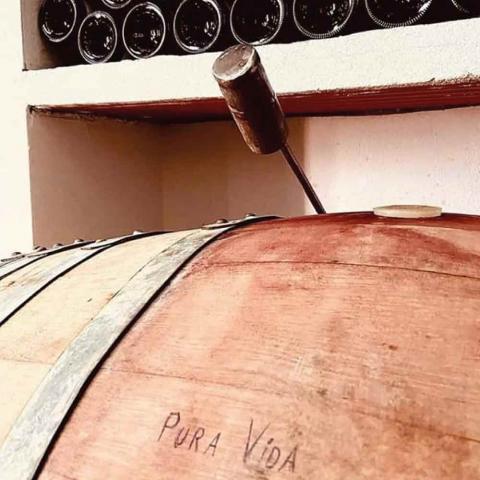 Sabor Alpujarreño | Vinos | Bodegas Alpujarra Almeriense | Pura Vida (Fondón) | Vino Natural | Delicias a Granel