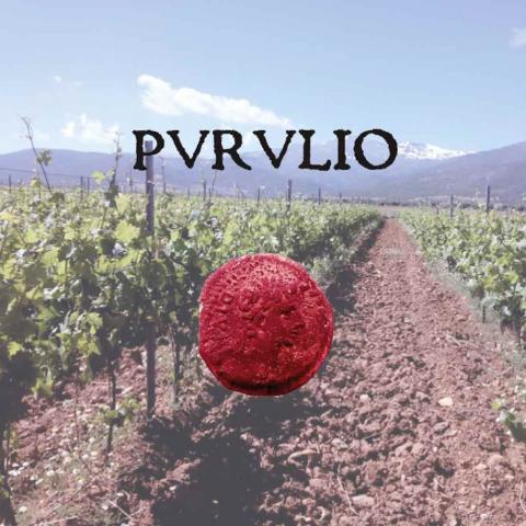 Sabor Alpujarreño | Vinos | Bodegas Altiplano Granada | Purulio (Marchal) | Vino Natural | Delicias a Granel